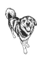 Black and white illustration features a joyful dog with a fluffy tail and a happy expression vector