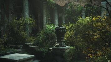 Ancient courtyard overgrown with lush foliage and stone architecture video
