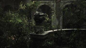 Overgrown stone structure surrounded by lush greenery in an abandoned location video