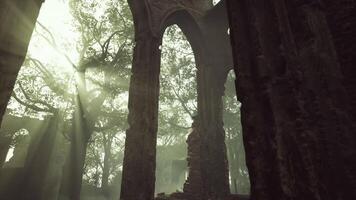 Sunlight Streaming Through Windows of Ruined Ancient Monastery video