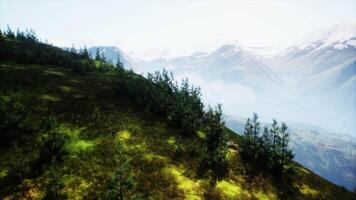 Aerial View of Mountain and Trees in the Austrian Alps video