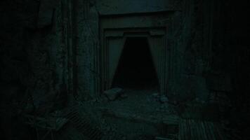 Mysterious entrance to an ancient cave located in a secluded area at dusk video