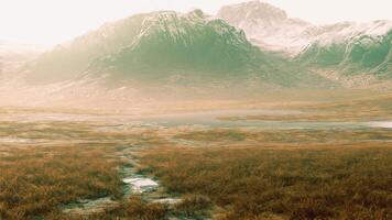 Grassy Field With a Serene Stream video