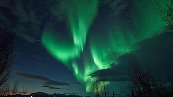 Vibrant green aurora borealis dancing across a night sky filled with stars, silhouetted against leafless trees. photo