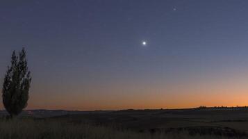 Solitary tree silhouetted against twilight sky with bright stars and planets. photo