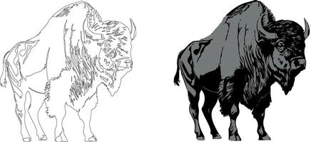 illustration of a bison on white background vector