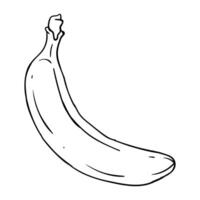 a drawing of a banana vector