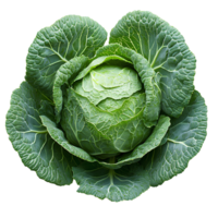 green cabbage vegetable with crisp leaves, isolated on a plain background. Its fresh texture and natural color make it ideal for healthy food designs, organic recipes, and promoting nutritious eating png