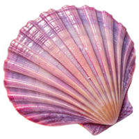 Seashell with purple pattern isolated on the transparent background png