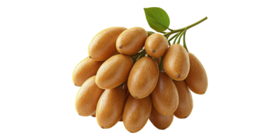 Fresh Dates Cluster Isolated on Transparent Background. png
