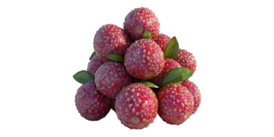Lychee Fruit Cluster Isolated on Transparent Background. png