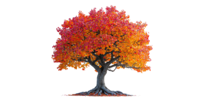 Lush autumn tree with vibrant foliage isolated on transparent background png