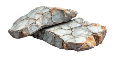 Two pieces of petrified wood fossils isolated on transparent background png