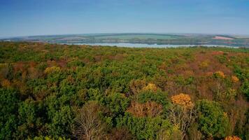Amazing colorful foliage on river background. Green, red and yellow trees of the forest. Autumn landscape from the air. Aerial view. Motion camera back. video