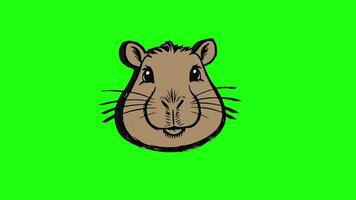 green screen 3d capybara icon video