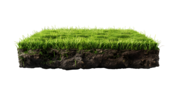 Green Grass and Soil Texture isolated on transparent background png
