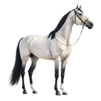 3d silver horse bueaty isolated on transparent background png