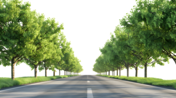 Empty Road with Green Trees isolated on transparent background png