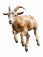 A goat is jumping in the air with its horns up png