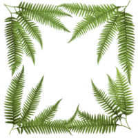 A frame of green leaves is shown in the image png