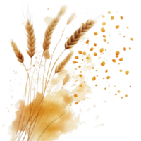 A painting of wheat with a splash of color png