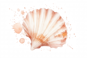 A shell with a splash of paint on it png