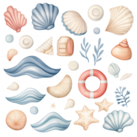 A collection of seashells and other ocean-related objects png