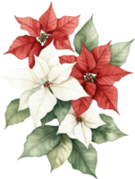 A red and white flower arrangement with green leaves png