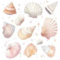 A collection of seashells in various shapes and sizes. png