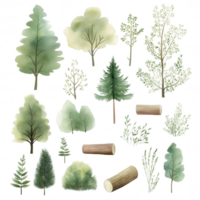 A collection of trees and a log png