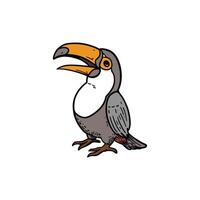 toucan bird hand drawing illustration for design, logo, icon, mascot, template, website, etc vector