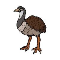 wild bird hand drawing illustration for design, logo, icon, mascot, template, website, etc vector