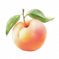 A watercolor painting of a peach with a leaf on top. png