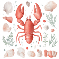 A set of ocean themed artworks featuring a red lobster and various shells png