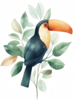 A colorful bird perched on a leafy branch png
