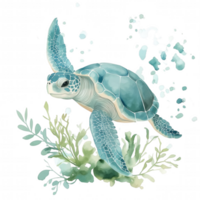 A turtle is swimming in the ocean with green plants in the background png
