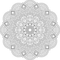mandala and frame design vector