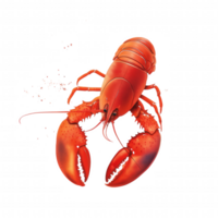 A close up of a red lobster with its claws extended png