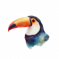 A colorful bird with a long beak is the main focus of the image png