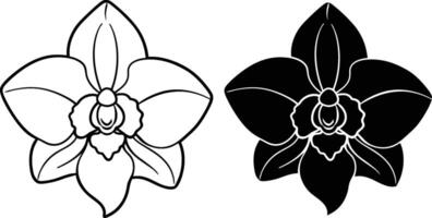 Orchid Flower Line Art, Black and White, Botanical Illustration, Floral Design, Tattoo Template, Sim vector