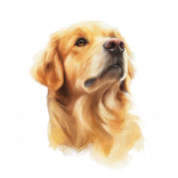 A dog with a brown nose and brown eyes is staring at the camera png