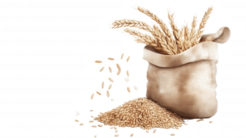 A bag of wheat grain is shown with some of the grain scattered on the ground png