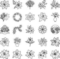 Azalea Flower Designs Line Art Illustrations, Botanical Sketches vector