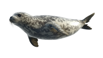 A seal swimming in the dark png