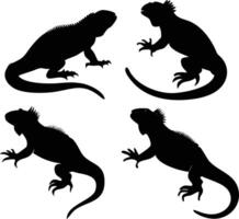 The Hidden Life of the Mysterious Iguana vector
