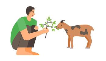 Man feed a goat with small green leaves in branch vector