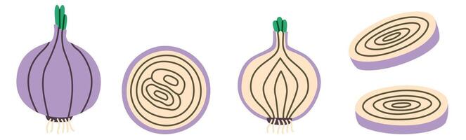 Flat-style illustration of purple onions in various perspectives, including whole, sliced, and cross-sectioned views. Perfect for culinary designs, recipes, or vegetable-themed projects. vector