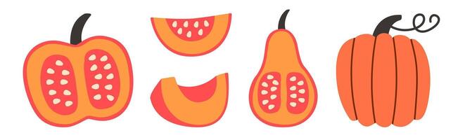 Flat-style illustration set of pumpkins and their slices in different shapes and angles. Vibrant orange tones, perfect for fall, autumn, Thanksgiving, and Halloween designs. vector