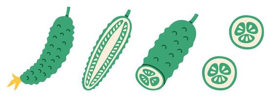 Flat-style illustration of cucumbers in various cuts and angles, including whole, sliced, and halved. Perfect for food-related designs, packaging, and educational visuals. vector