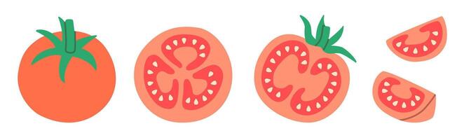 Flat-style illustration of tomatoes in various cuts and angles, including whole, sliced, and quartered. Ideal for food-related designs, recipe visuals, and educational materials. vector